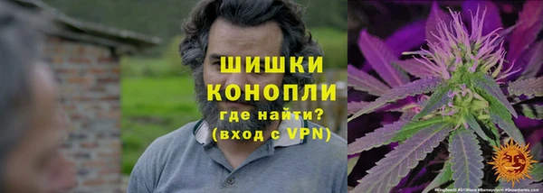 прущая мука Вяземский