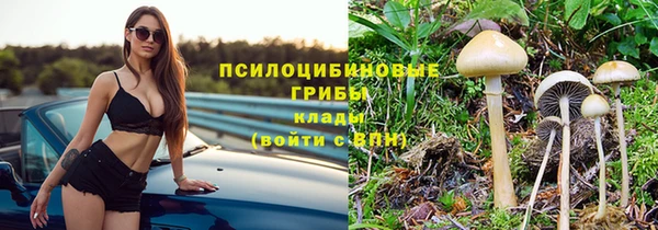 соль курить ск Вязьма