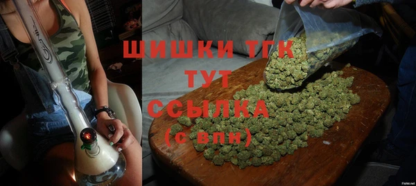 крисы Верея