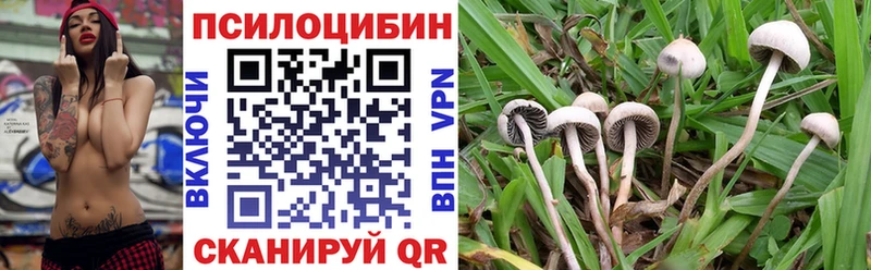 Псилоцибиновые грибы мицелий мега ССЫЛКА Жигулёвск
